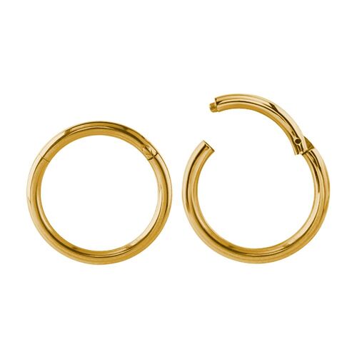 Bright Gold Hinged Segment Ring : 1.2mm (16ga) x 6mm