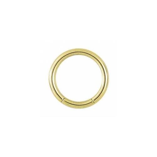 Titanium Zirconline® Smooth Segment Ring : 1.6mm (14ga) x 8mm