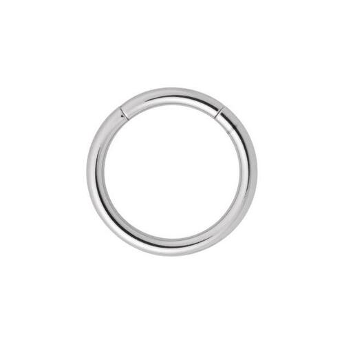 Titanium Highline® Smooth Segment Rings : 2.0mm (12ga) x 10mm x Ti-glo