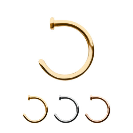 Invictus 14kt Gold with 2mm Flat Back Nose Ring