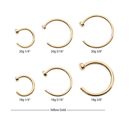 Invictus 14kt Gold with 2mm Flat Back Nose Ring