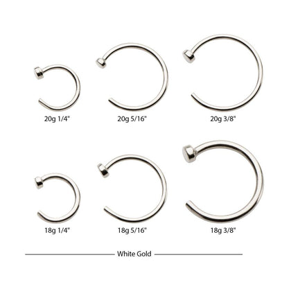 Invictus 14kt Gold with 2mm Flat Back Nose Ring