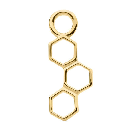 Invictus 14Kt Yellow Gold Honeycomb Charm