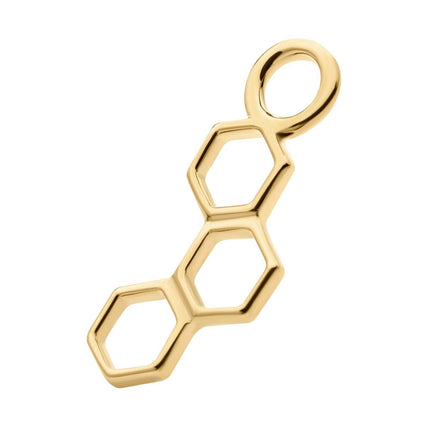 Invictus 14Kt Yellow Gold Honeycomb Charm
