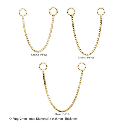 Invictus 14Kt Yellow Gold Box Chain with Rings