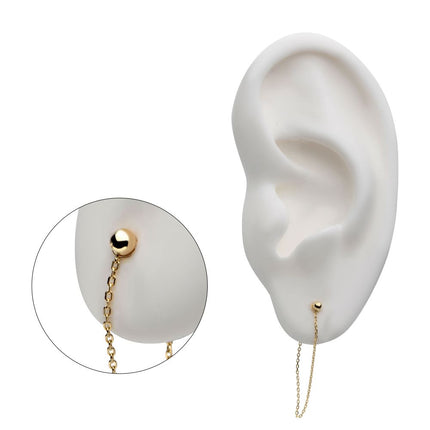 Invictus 14Kt Yellow Gold 1pc 2.5mm Ball with Butterfly Back Chain Stud Earrings