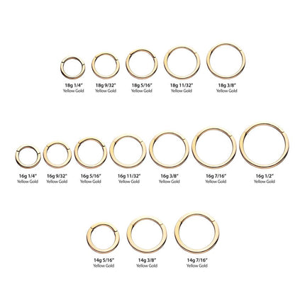 Invictus 14Kt Yellow Gold Basic Hinged Segment Clicker