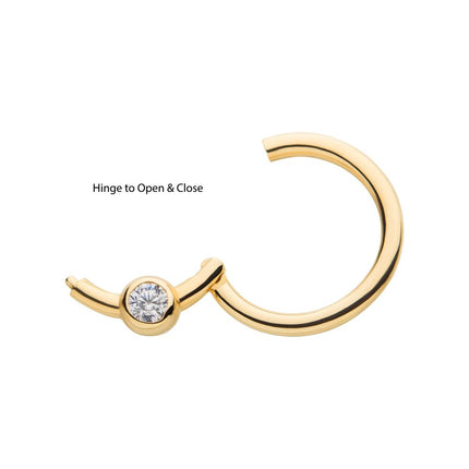 Invictus 14Kt Yellow Gold with Bezel Set Clear CZ Front Facing Hinged Segment Clicker