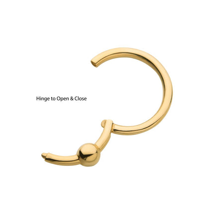 Invictus 14Kt Yellow Gold with 3mm Ball Hinged Segment Clicker