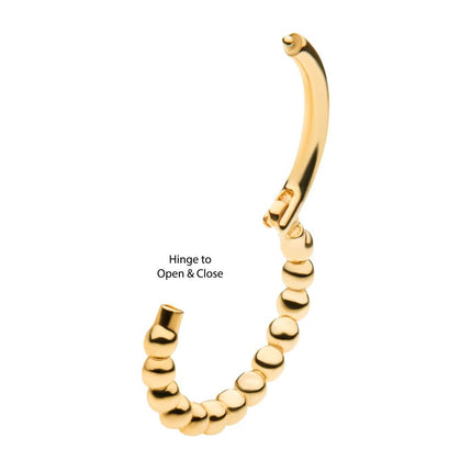 Invictus 14Kt Yellow Gold with Beaded Edge Side Facing Hinged Segment Clicker