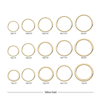 Invictus 14kt Gold Seamless Ring