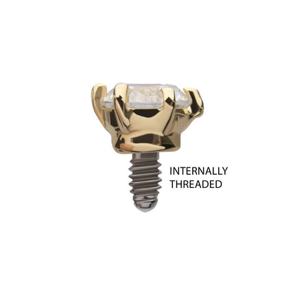 Invictus 14Kt Yellow Gold Internally Threaded 6-Prong Round Gem Top Dermal
