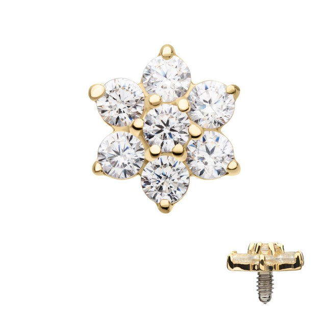 Invictus 14Kt Yellow Gold Internally Threaded Prong Set 7-Gem Flower Top Dermal