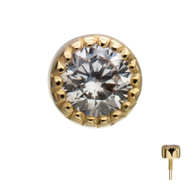 Invictus 14Kt Yellow Gold M0.8 Internally Threaded Milgrain Edge Round Gem Top