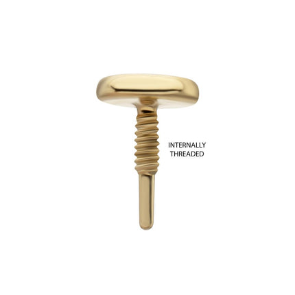 Invictus 14Kt Yellow Gold M0.8 Internally Threaded Disc Top