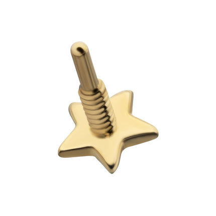 Invictus 14Kt Yellow Gold M0.8 Internally Threaded Star Top