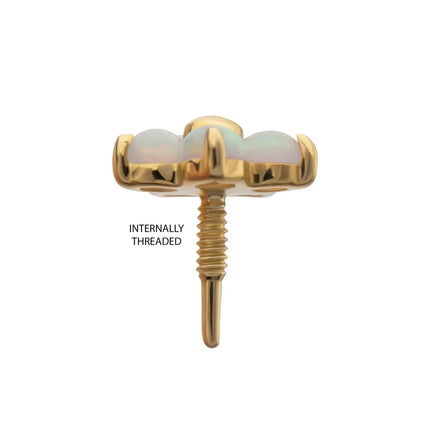 Invictus 14Kt Yellow Gold M0.8 Internally Threaded 5-Petal Opal Flower Top