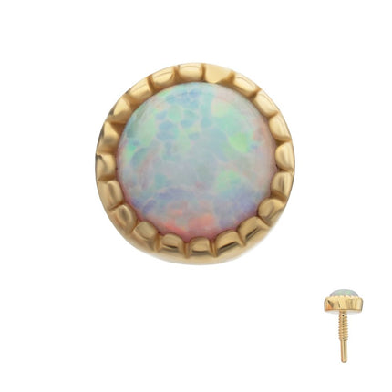 Invictus 14Kt Yellow Gold M0.8 Internally Threaded Milgrain Edge Round Opal Top