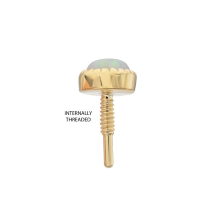 Invictus 14Kt Yellow Gold M0.8 Internally Threaded Milgrain Edge Round Opal Top