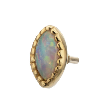 Invictus 14Kt Yellow Gold M0.8 Internally Threaded Milgrain Edge Marquise Opal Top