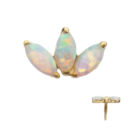 Invictus 14Kt Yellow Gold M0.8 Internally Threaded 3-Cluster Marquise Opal Fan Top