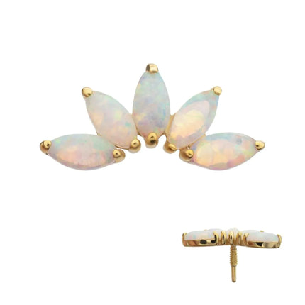 Invictus 14Kt Yellow Gold M0.8 Internally Threaded 5-Cluster Marquise Opal Fan Top
