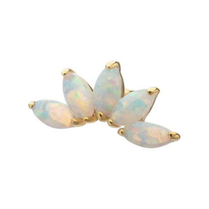 Invictus 14Kt Yellow Gold M0.8 Internally Threaded 5-Cluster Marquise Opal Fan Top