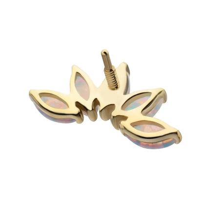 Invictus 14Kt Yellow Gold M0.8 Internally Threaded 5-Cluster Marquise Opal Fan Top