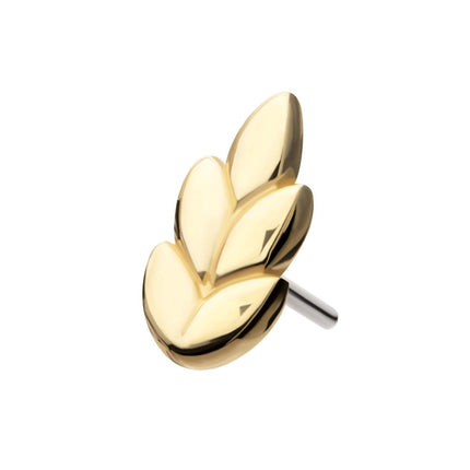 Invictus 14Kt Gold Threadless Ash Leaf Top