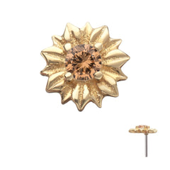 Collection image for: Bee-Luxe;Spring Radiance