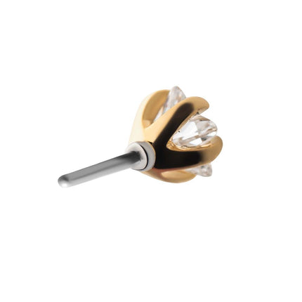 Invictus 14Kt Yellow Gold Threadless with 5-Prong Set Clear CZ Star Top