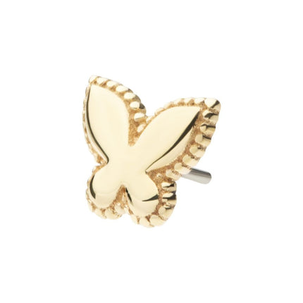 Invictus 14Kt Yellow Gold Threadless Beaded Edge Butterfly Top