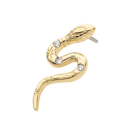 Invictus 14Kt Yellow Gold Threadless with CZ Snake Top
