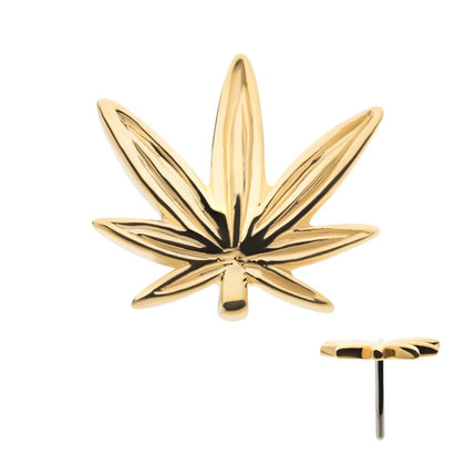 Invictus 14Kt Yellow Gold Threadless Pot Leaf Top