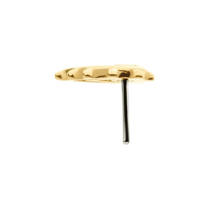 Invictus 14Kt Yellow Gold Threadless Beaded Edge Teardrop Top