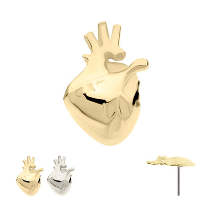 Invictus 14Kt Gold Threadless Anatomical Heart Top