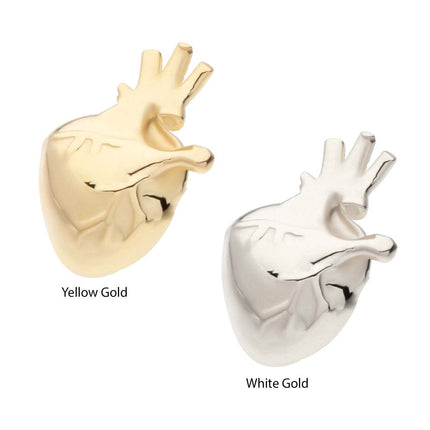 Invictus 14Kt Gold Threadless Anatomical Heart Top