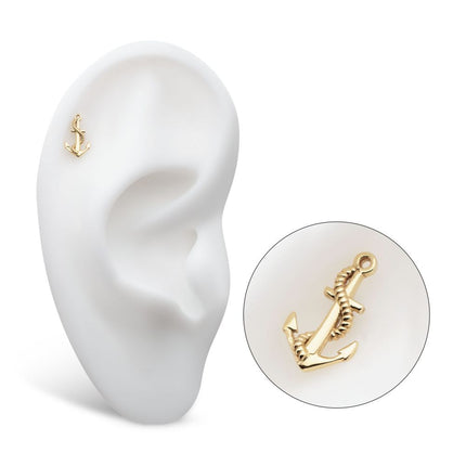 Invictus 14Kt Yellow Gold Threadless Anchor Top