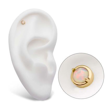 Invictus 14Kt Yellow Gold Threadless with 2-Prong Set White Opal Round Top