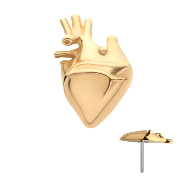 Invictus 14Kt Yellow Gold Threadless with Human Heart Top