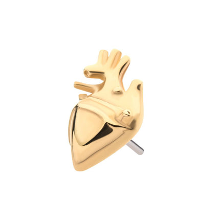 Invictus 14Kt Yellow Gold Threadless with Human Heart Top