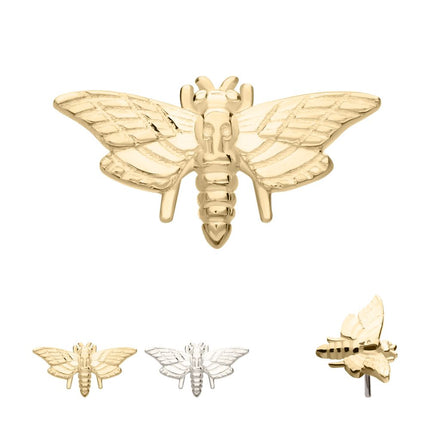 Invictus 14Kt Gold Threadless Moth Top