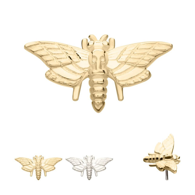Invictus 14Kt Gold Threadless Moth Top