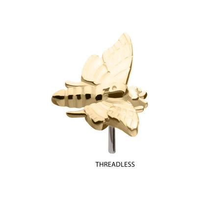 Invictus 14Kt Gold Threadless Moth Top