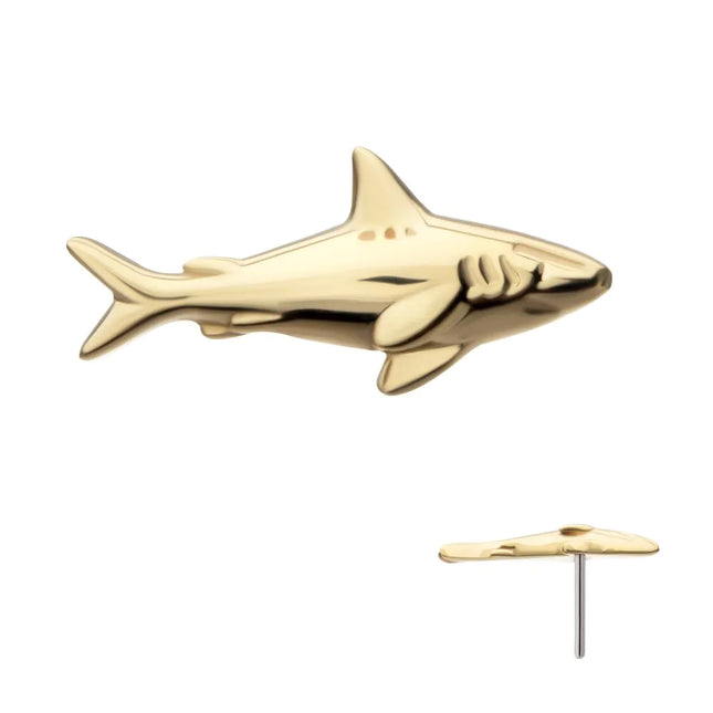 Invictus 14Kt Yellow Gold Threadless 2D Shark Top