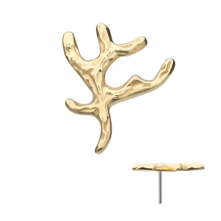 Invictus 14Kt Yellow Gold Threadless Coral Branch Top