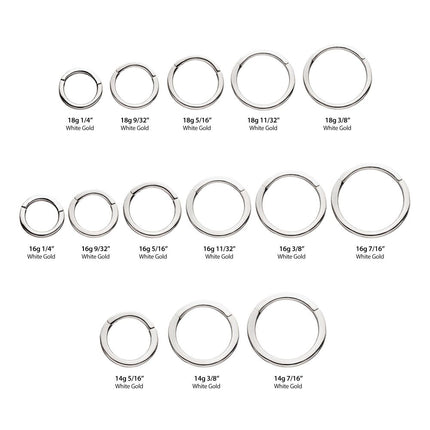 Invictus 14Kt White Gold Basic Hinged Segment Clicker