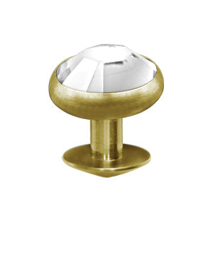 Elstern Gold PVD Titanium Jewelled Dermal Skindiver