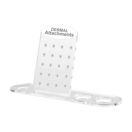 Acrylic Dermal Shaped Attachment Display – Wildcat Australia