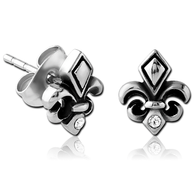 Pair of Surgical Steel Ear Studs